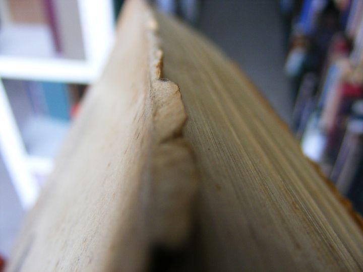 biblioteca 104 copy.jpg